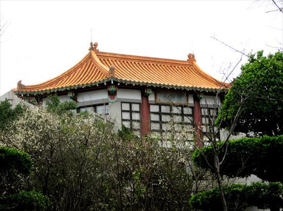 第4張-臺北孔廟梅花綻放景緻、共4張圖片